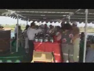 Rush des Papys pour le thé