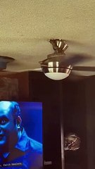 snakes playing with propellers