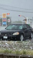 RAGNARÖK – Forte tempête de grêle dans la partie nord-est de Coahuila au Mexique hier.