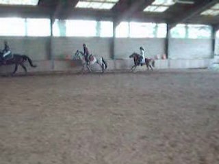 Java & Anne et Maestro & Audrey <3