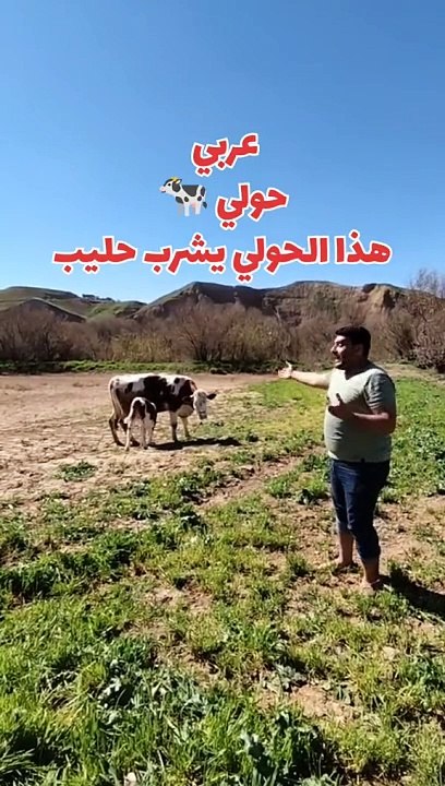 هذا الحولي يشرب حليب بلكوردي وبلتركماني #وسام_بترول