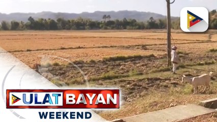 Pamahalaan, puspusan sa pagtulong sa mga apektado ng El Niño sa bansa