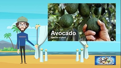 Fruit Fun Kids | Cartoons | Kids vid | Play time | Kids Stories