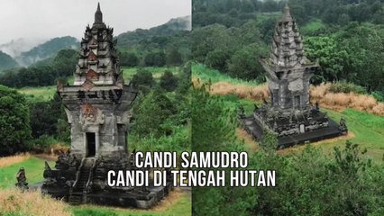 Candi Samudro, Candi di Tengah Hutan