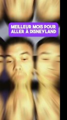 Meilleur Mois pour aller à Disneyland Paris