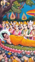 बुद्ध की शांति || आचार्य प्रशांत