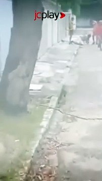 CONFLITOS de TORCIDAS ORGANIZADAS em dia de CLÁSSICO das MULTIDÕES,