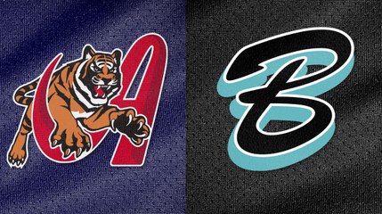 TIGRES DE ARAGUA vs BRAVOS DE MARGARITA 16/12/2023