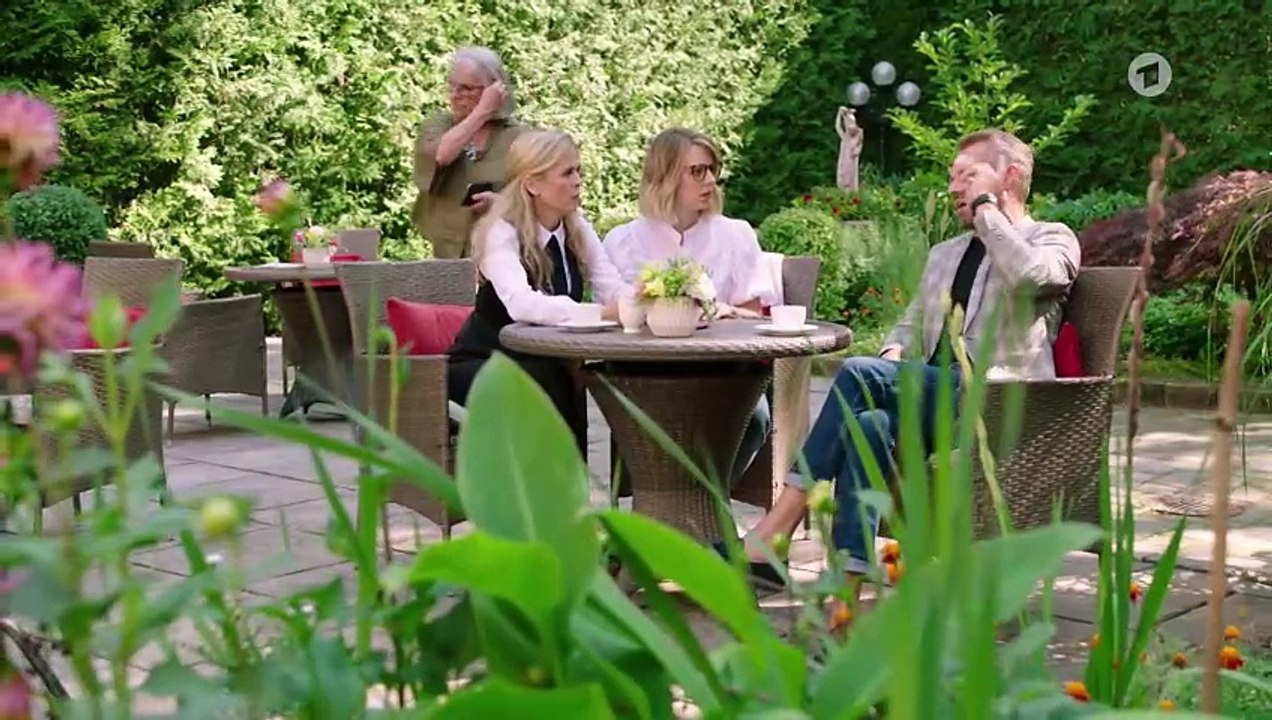 Folgenreiches Geständnis (4185)