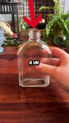 Ce Magicien Fabrique des Potions Secrètes (@whiskers_and_witchcraft)