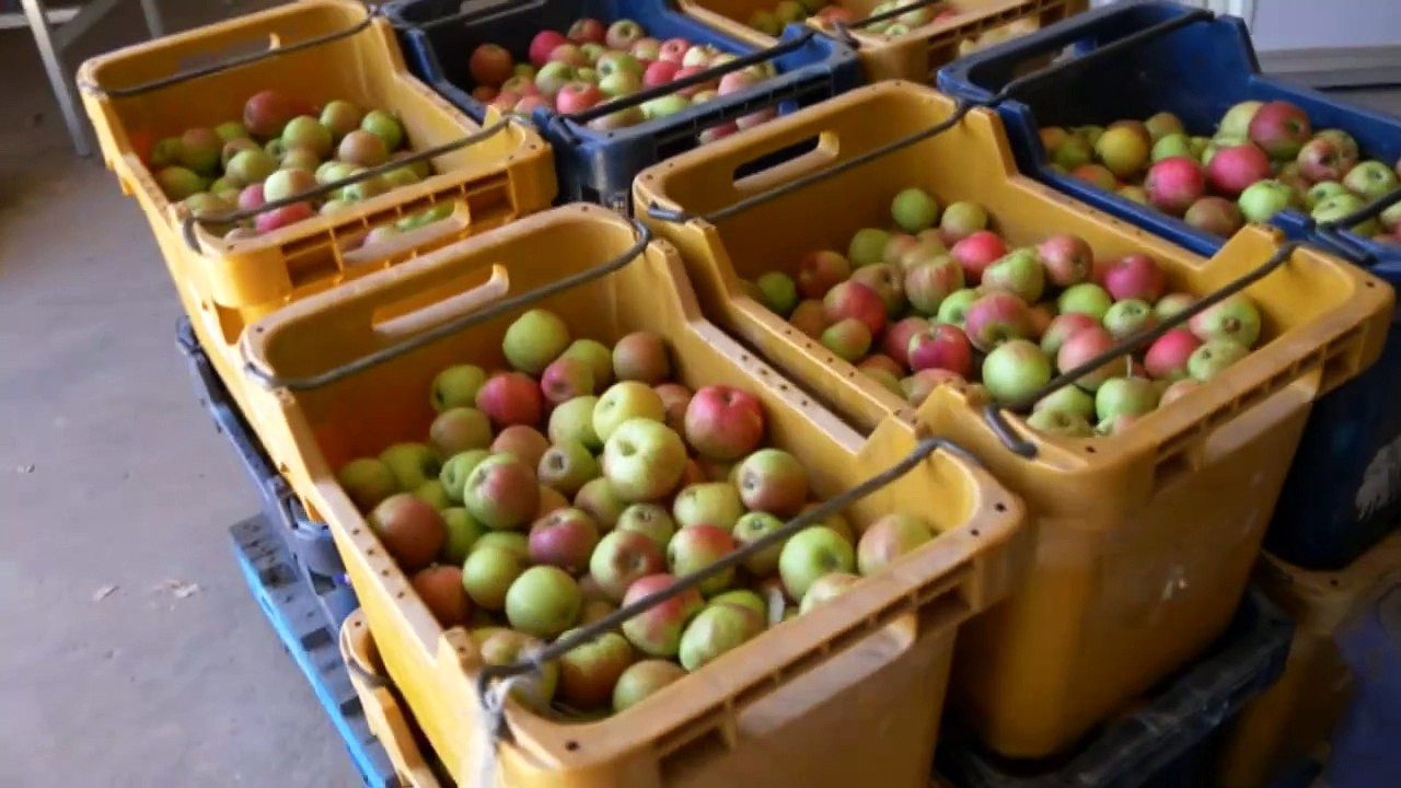 A ‘second chance’ for former prisoners in WA in the form of agricultural work
