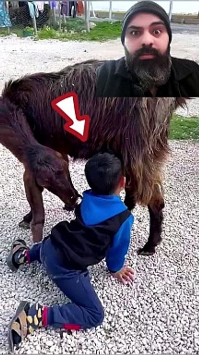 Hungry, give you a baby while walking