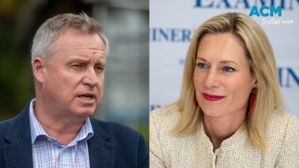 Party leader's incentives for health workers (17/3/24)