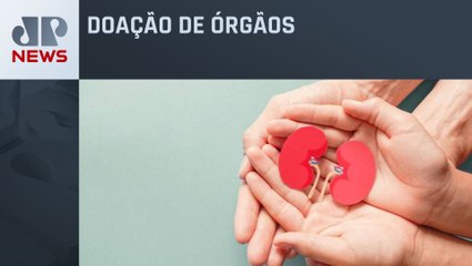 Busca por rim lidera filas de transplantes no Brasil
