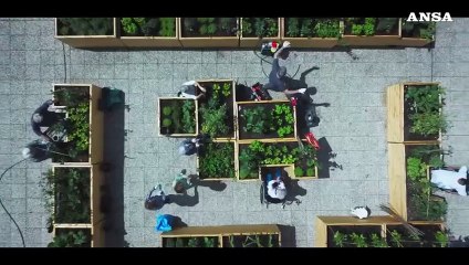 "Siamo serie": The Woman in the Wall, Doc, Resident Alien