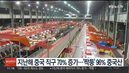지난해 중국 해외직구 70% 증가…'짝퉁' 96%가 중국산