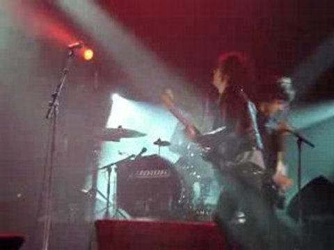 BB Brunes à Morlaix