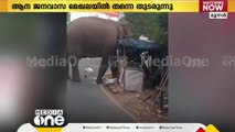 ദേ പിന്നേം പടയപ്പ; മൂന്നാറിൽ വീണ്ടും ആക്രമണം; വഴിയോരക്കട തകർത്തു; സാധനങ്ങളും തിന്നു