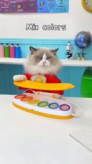 #love #viral #fyp #trend #bts #foryou #cate #cute