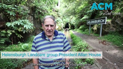 Helensburgh glowworm tunnel | March 17, 2024 | Illawarra Mercury