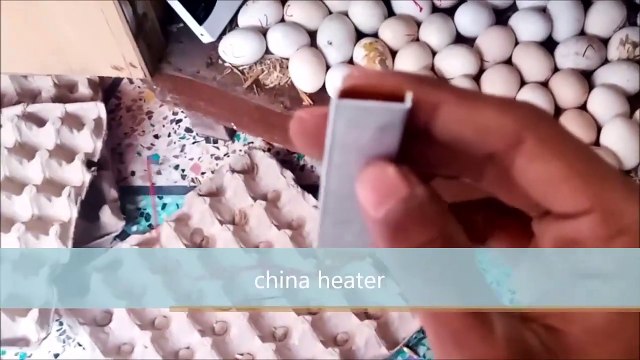 Easy idea to Hatch Eggs without BULB __ DIY - Homemade 220 eggs INCUBATOR __ Hatching egg