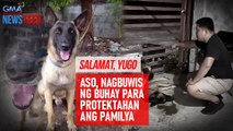Aso, nagbuwis ng buhay para protektahan ang pamilya | GMA Integrated Newsfeed