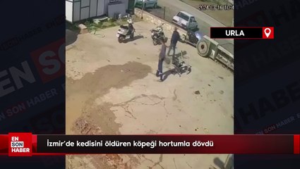 İzmir’de kedisini öldüren köpeği hortumla dövdü