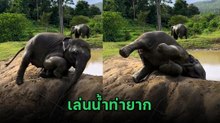 เอ็นดูช้างน้อย ! ลูกช้างวัยซนเล่นน้ำท่ายาก คลายร้อนแบบไม่ธรรมดา