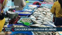 Nelayan Tak Bisa Melaut Akibat Cuaca Ekstrem, Harga Ikan Melonjak di Pasaran!