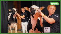 Le gratin de l'élevage laitier en démonstration à Libramont