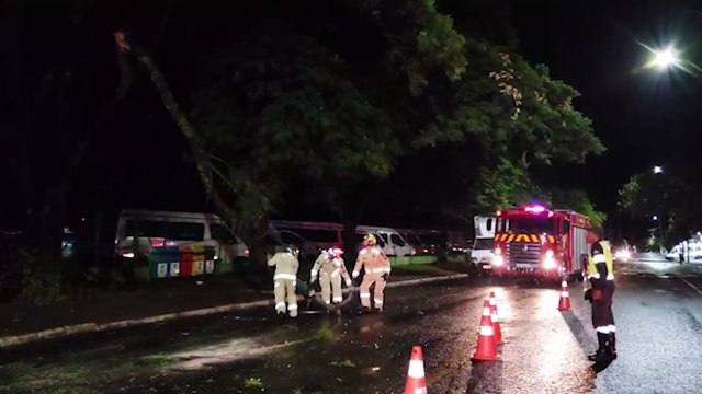 Galho de árvore cai e interdita a pista em frente à prefeitura