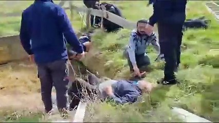 Kopeğini kurtarmak istemişti!