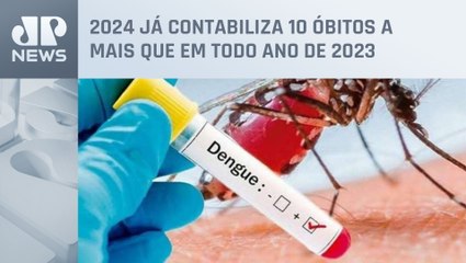 Estado do RJ tem ao menos 42 mortes causadas por dengue