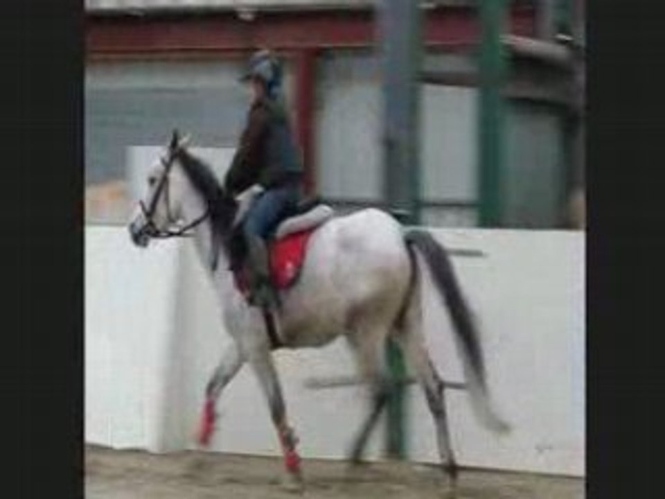 Lulu et Olympe