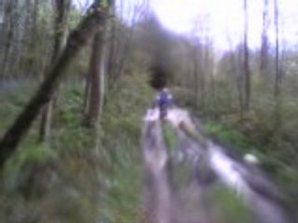 VTT ST JEAN CARDONNAY 06-04-08