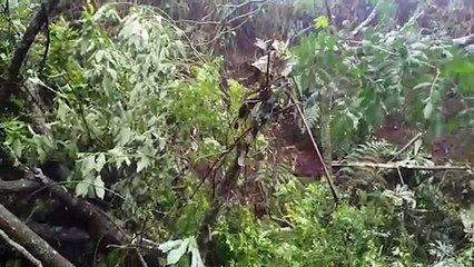 Casal fica ferido após cair em barranco na PR-486 em Cascavel