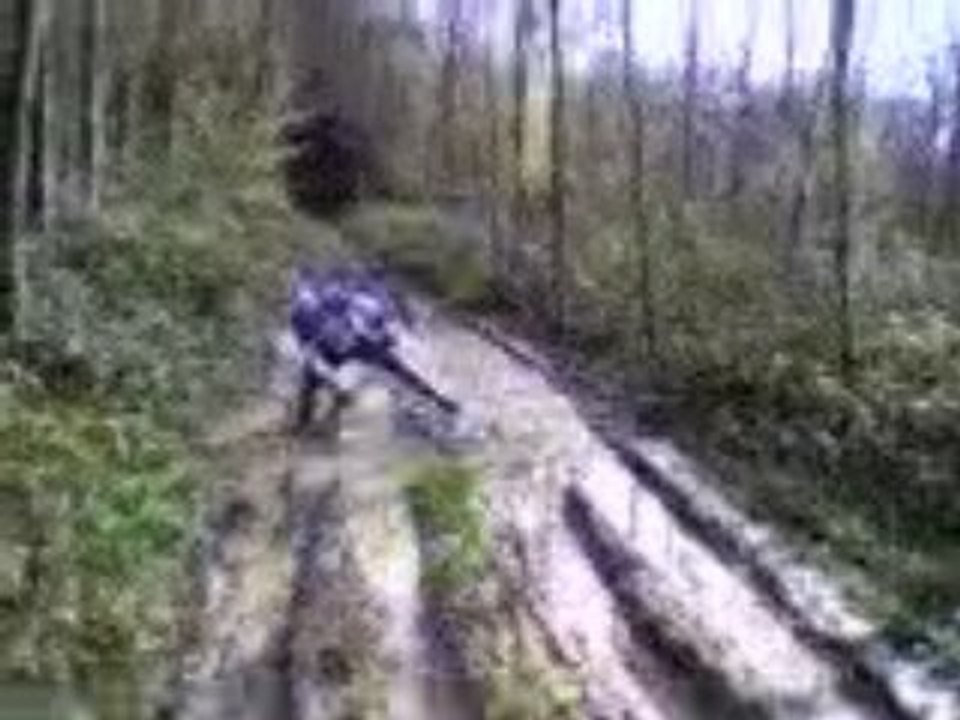 VTT ST JEAN CARDONNAY 06-04-08