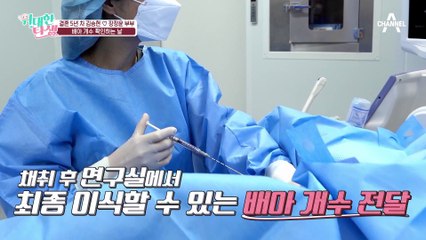 [#위대한탄생] 난자 채취 일정을 바꾸자는 승현?! 현실적인 문제로 커져가는 갈등의 골 #임신 #김승현 #장정윤