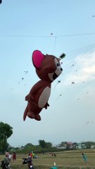 Cánh đồng diều Đồng Ba Canh lớn nhất Hóc Môn bạn nên đến trải nghiệm 1 lần trong đời