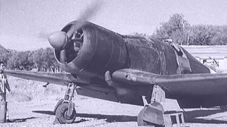 253ª Squadriglia, 104° Gruppo, dell’aeroporto di Decimomannu, Sardinia, Italy 1943