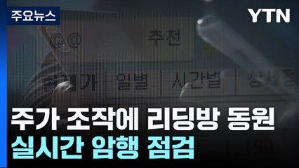 암행으로 주식 리딩방 잡는다..."불법 강하게 처벌" / YTN