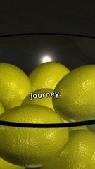 Simple Lifestyle Hacks for a Natural Health Boost 🌿