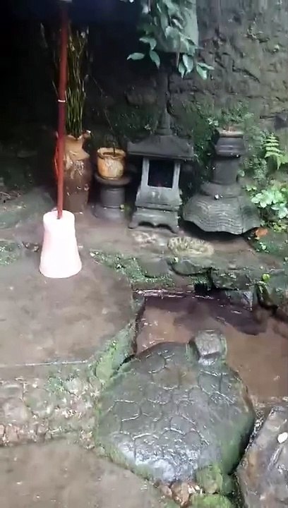 Peninggalan kerajaan Singosari