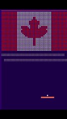 Brickgame - Canada Flag Brickmania gaming brickmania satisfying shorts