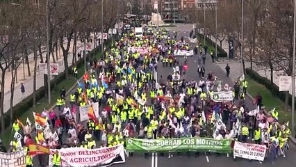 شاهد: الجرارات تصل إلى العاصمة الإسبانية ضمن احتجاجات الفلاحين في أوروبا