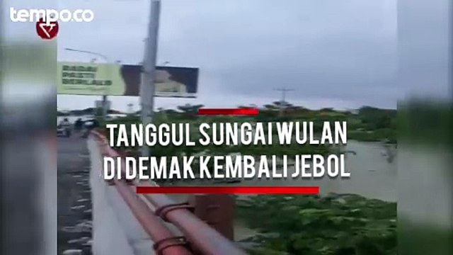 Tanggul Sungai Wulan di Demak Kembali Jebol, Jalur Pantura Terganggu