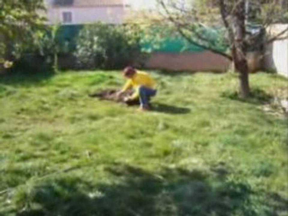 Nounours
