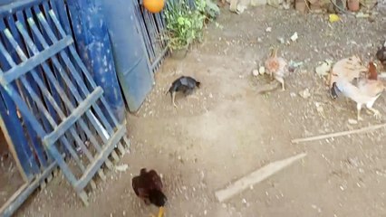 malaking tulong at tipid sa gastos