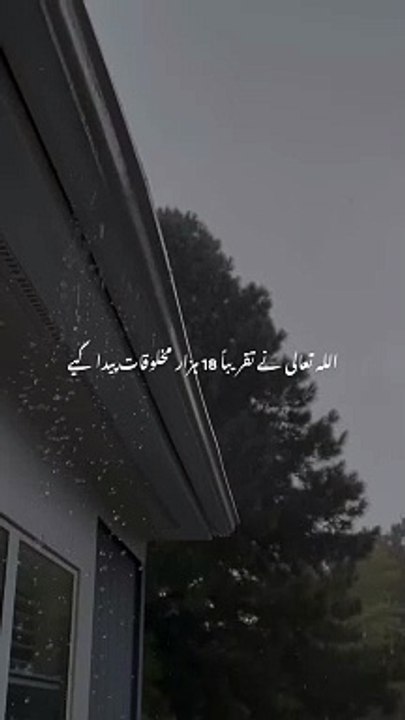 Islamic poetry