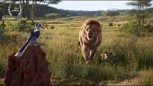 The Lion King (Simba) movie summary